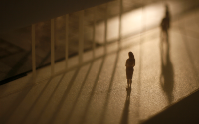 Entre luces y sombras